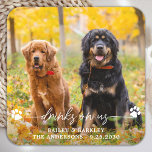 Dra på oss Open Pub Hund Photo Pet Bröllop Underlägg Papper Kvadrat<br><div class="desc">Drick på oss! Lägg till den avslutande beröringen till bröllop med den här söta anpassningsbarna fotot på bröllop underlägg. Perfekt till bröllop efter party och mottagning, och som bröllopsförmån för dina gäster. Anpassa fotot hund bröllop underlägg med ditt favoritfoto från bröllop, hund av hederfoto eller ditt nyskapade foto med din...</div>