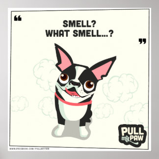 Dra Tass - Poster 04