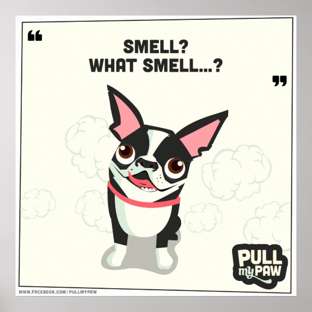 Dra Tass - Poster 04 (Framsidan)