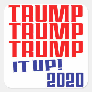 Dra upp det! Trump 2020 - Stickers (uppsättning 20 Fyrkantigt Klistermärke