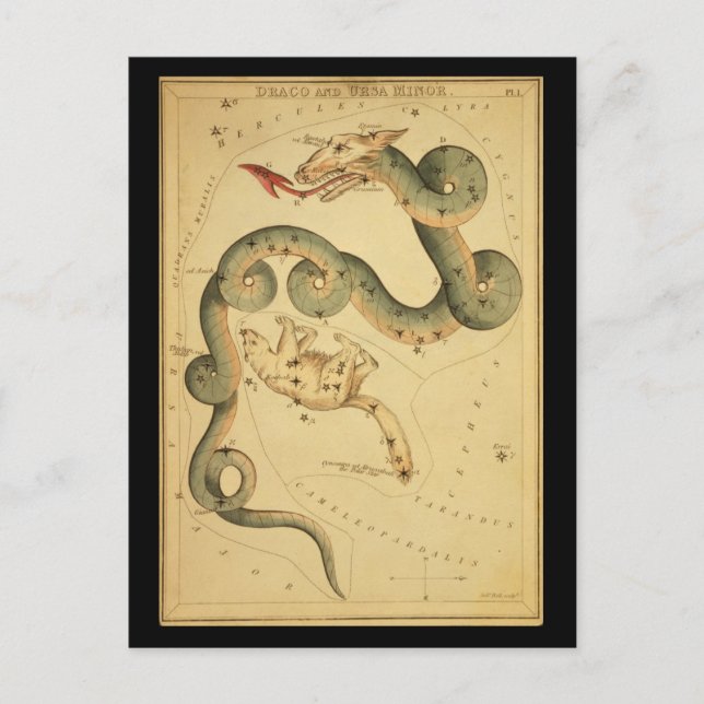 Draco and Ursa Minor Vykort (Framsida)