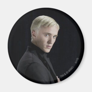 Draco Malfoy Arm Crossed Magnet