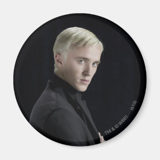 Draco Malfoy Arm Crossed Magnet