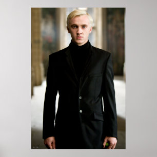 Draco Malfoy Rak på Poster