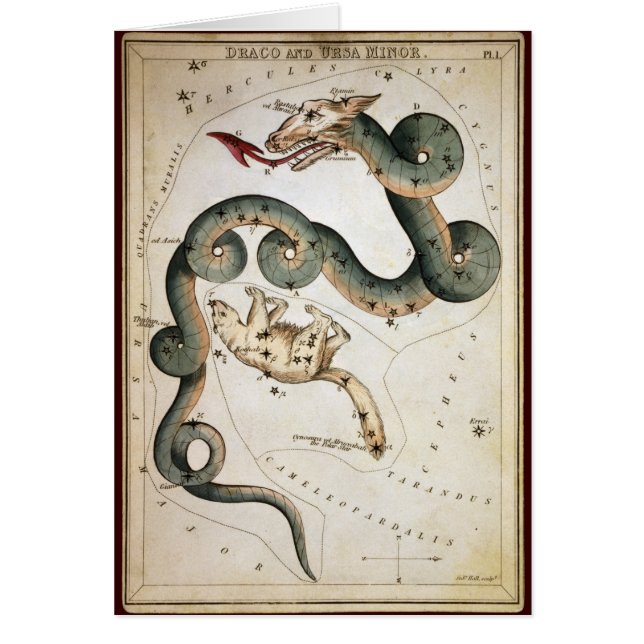Draco och Ursa minderårig Hälsningskort (Framsidan)