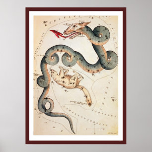 Draco och Ursa Minor av Sidney Hall Poster