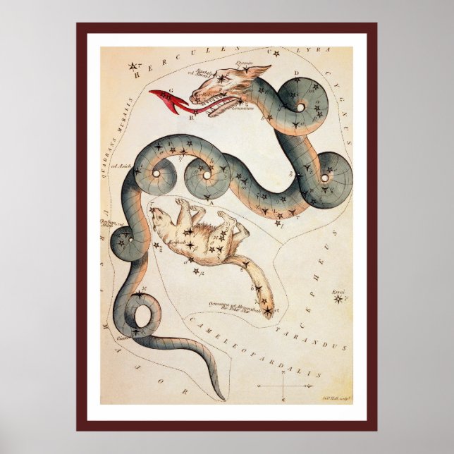 Draco och Ursa Minor av Sidney Hall Poster (Framsidan)
