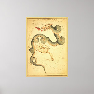 Draco the Dragon - Vintage Astronomical Star Chart Canvastryck