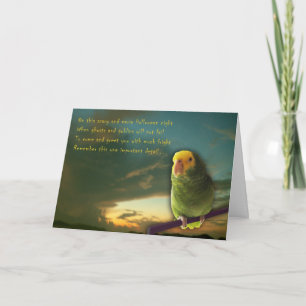 Dracula kalorier kort