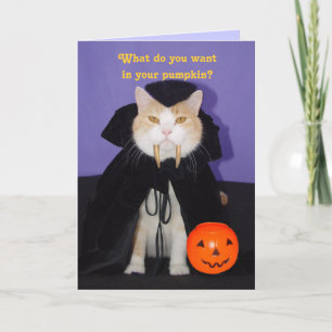 Dracula Kattunge Kort