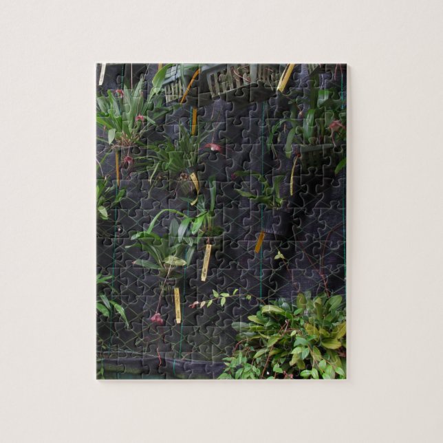 Dracula Orchid Pussel (Vertikal)