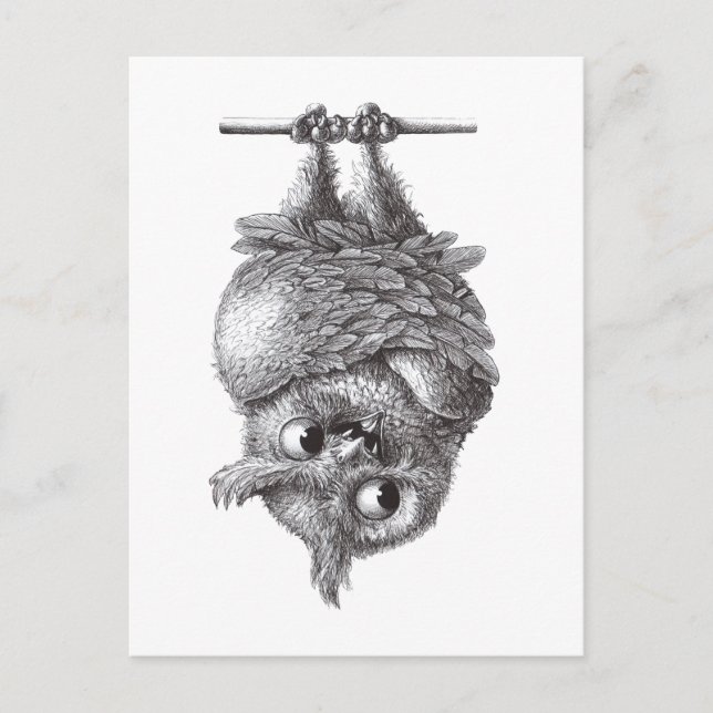 Dracula Uggla Coola och So Scary Vykort (Framsida)