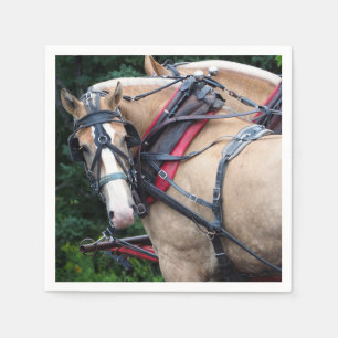 Draft Horse 387 Pappersservett