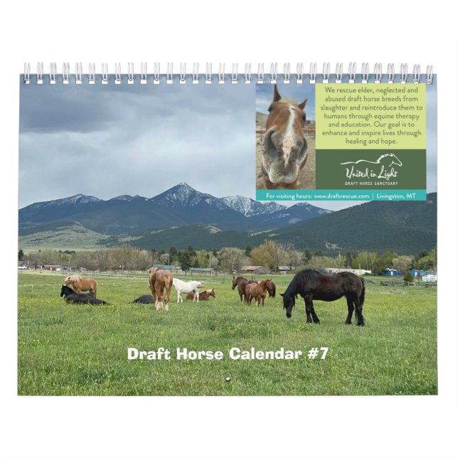 Draft Horse Calendar Kalender (Omslag)