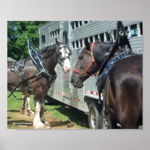 Draft Horse Duo Poster