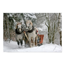 Draft Horses Pulling Sleigh