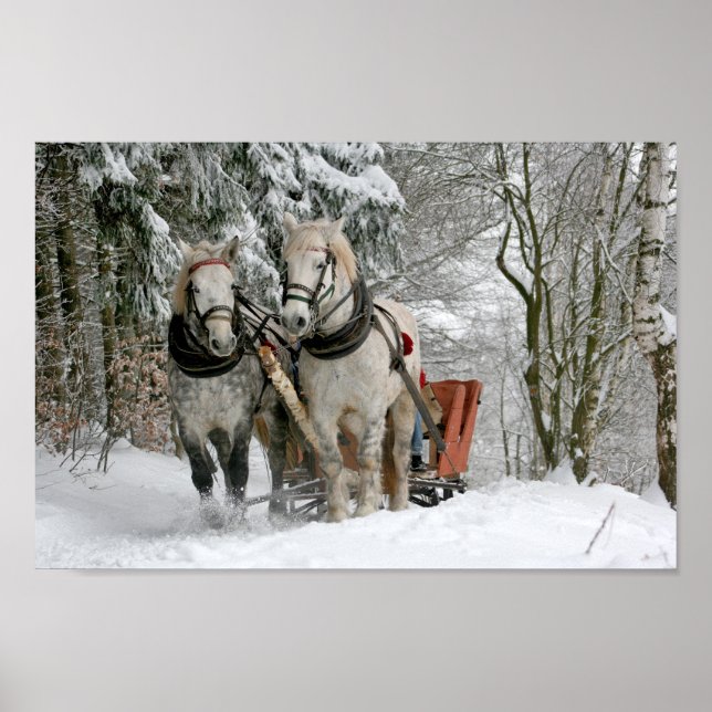 Draft Horses Pulling Sleigh Poster (Framsidan)