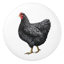 Drag av kycklingfack