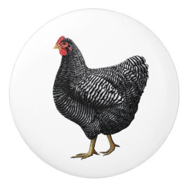 Drag av kycklingfack knopp