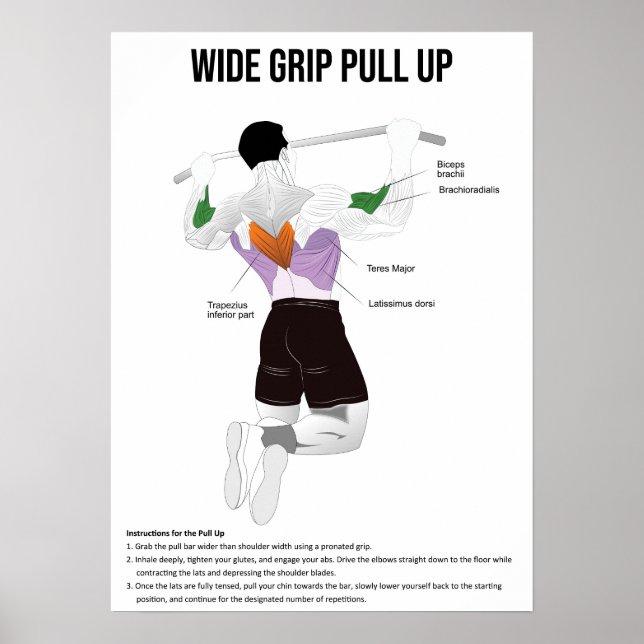 Drag upp - Utövning - Muscle Anatomy Chart Poster (Framsidan)