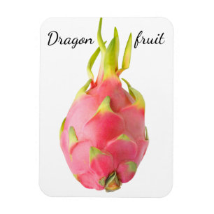 Dragfrukt Magnet