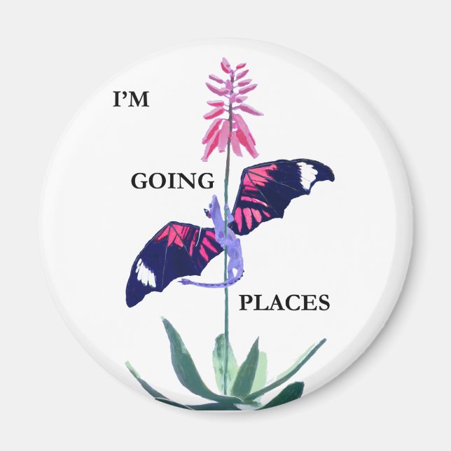 Dragon and Cactus Magnet (Framsidan)