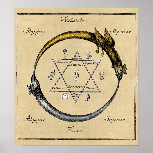 Dragon and Snake Ouroboros Mandala Poster (Framsidan)