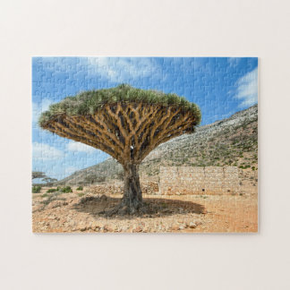 Dragon Blood Träd, Socotra Island, Jemen Pussel