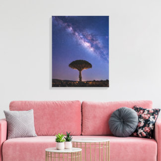 Dragon Blood Tree Milky Way Canvas Ancient Nature