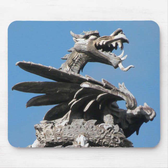 Dragon, City Hall Cardiff, Wales, UK Musmatta (Framsidan)