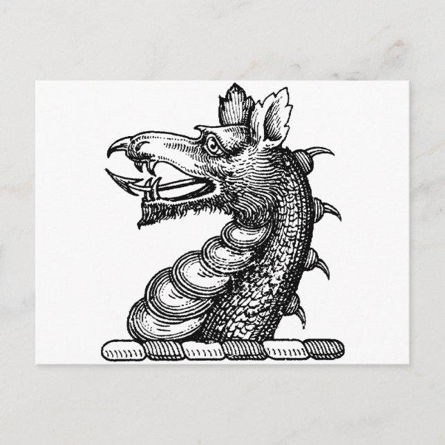 Dragon Clothing 9 Vykort (Framsida)