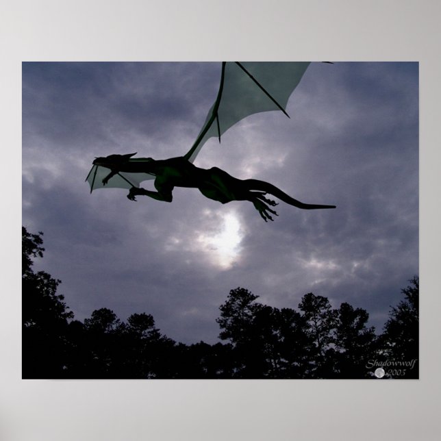 Dragon Flight Poster (Framsidan)