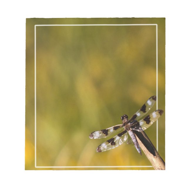 Dragon Fly Anteckningsblock (Framsida)