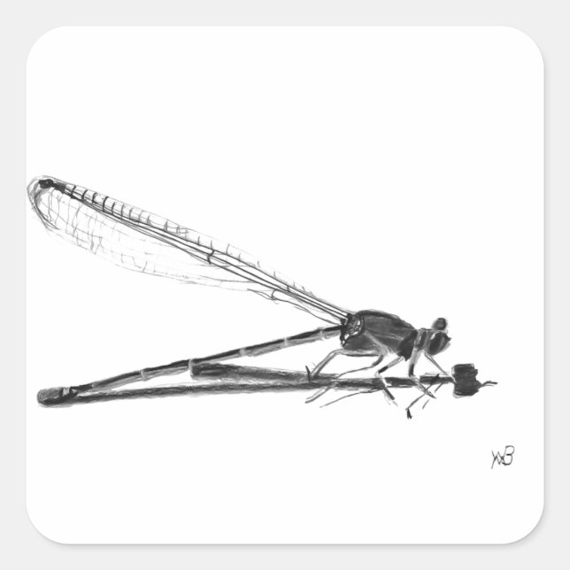 Dragon Fly Fyrkantigt Klistermärke (Framsida)