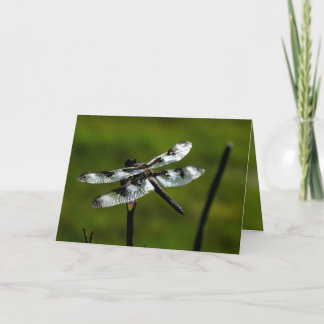 Dragon Fly Greeting Cards Kort