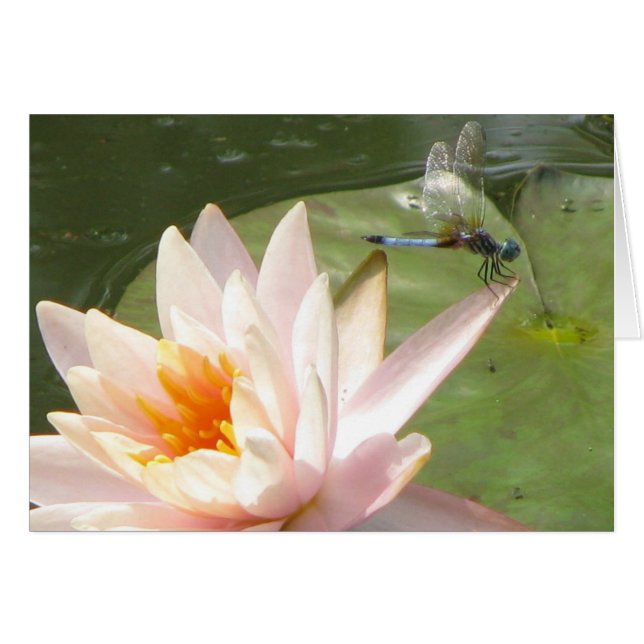 Dragon fly hälsningskort (Framsidan Horizontal)