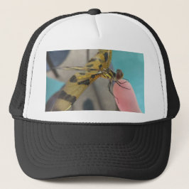 Dragon Fly Keps