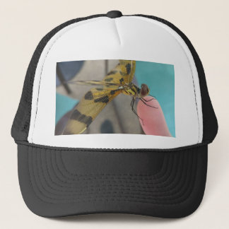 Dragon Fly Keps