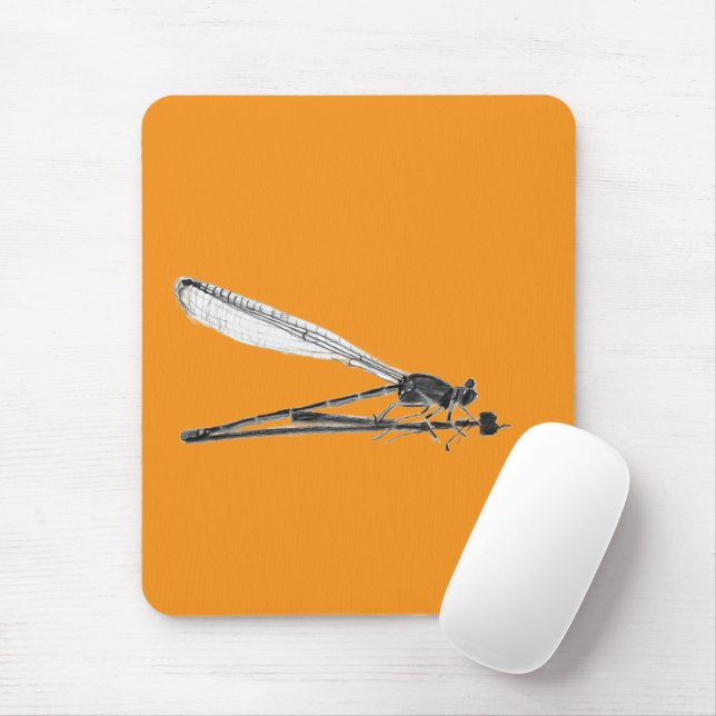 Dragon Fly Musmatta (Med mus)