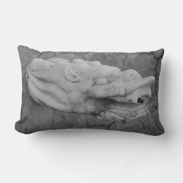 Dragon Fontän Pillows Lumbarkudde (Framsida)