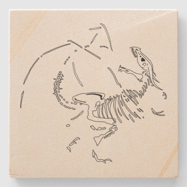 Dragon Fossils Stenunderlägg (Framsidan)