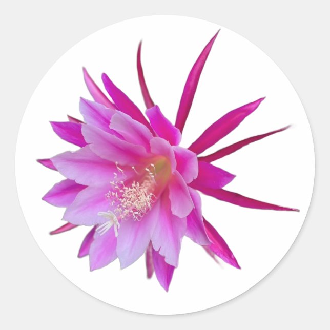 Dragon Fruit Flower Sticker Runt Klistermärke (Framsida)