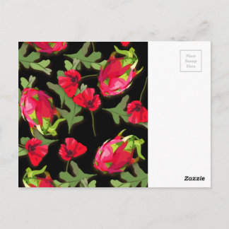 Dragon Fruit Postcard Vykort