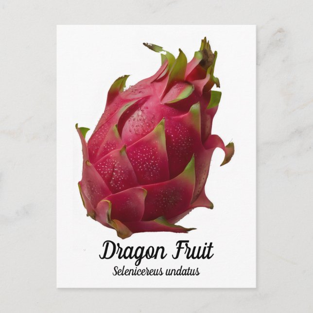 Dragon Fruit Vykort (Framsida)