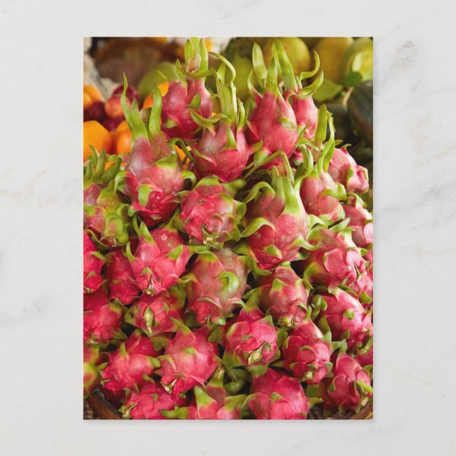 Dragon Frukt| Kan Duoc-marknaden Vykort (Framsida)