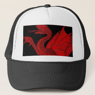 Dragon Hat Keps