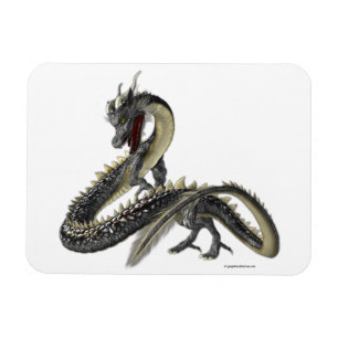 Dragon i Silver Magnet