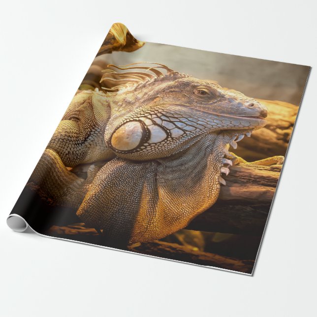 Dragon Iguana Presentpapper (Utrullad)