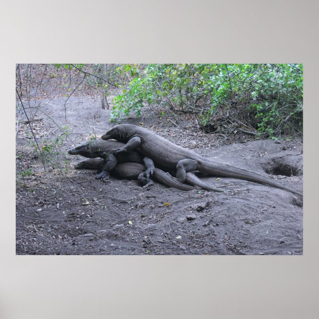 Dragon Kärlek Poster (Framsidan)