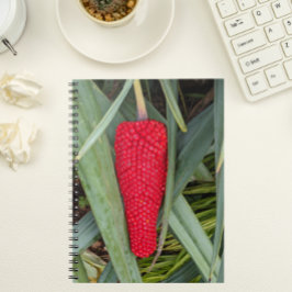 Dragon Lily Red Seed Head Anteckningsbok
